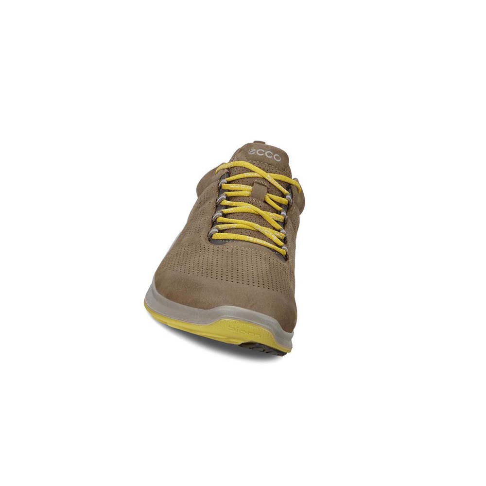 Pánské Hiking & Trail Ecco Mens Biom Fjuel Perf Hnědé | CZ 568JPQ